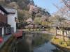 3614 - 20250417 Edo Wonderland Nikko Google Pixel 9 Pro XL