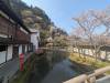 3615 - 20250417 Edo Wonderland Nikko Google Pixel 9 Pro XL