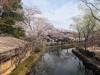 3616 - 20250417 Edo Wonderland Nikko Google Pixel 9 Pro XL