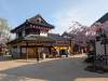 3638 - 20250417 Edo Wonderland Nikko Google Pixel 9 Pro XL