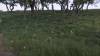 1117 - 20230414 Sensorio Field of Lights