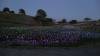 1123 - 20230414 Sensorio Field of Lights