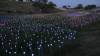 1125 - 20230414 Sensorio Field of Lights