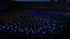 1139 - 20230414 Sensorio Field of Lights