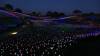 1140 - 20230414 Sensorio Field of Lights