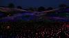1143 - 20230414 Sensorio Field of Lights