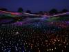 1147 - 20230414 Sensorio Field of Lights