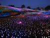 1149 - 20230414 Sensorio Field of Lights