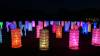 1151 - 20230414 Sensorio Field of Lights