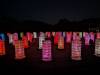 1152 - 20230414 Sensorio Field of Lights