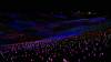 1156 - 20230414 Sensorio Field of Lights