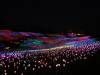 1157 - 20230414 Sensorio Field of Lights