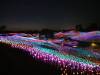 1160 - 20230414 Sensorio Field of Lights