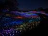1163 - 20230414 Sensorio Field of Lights