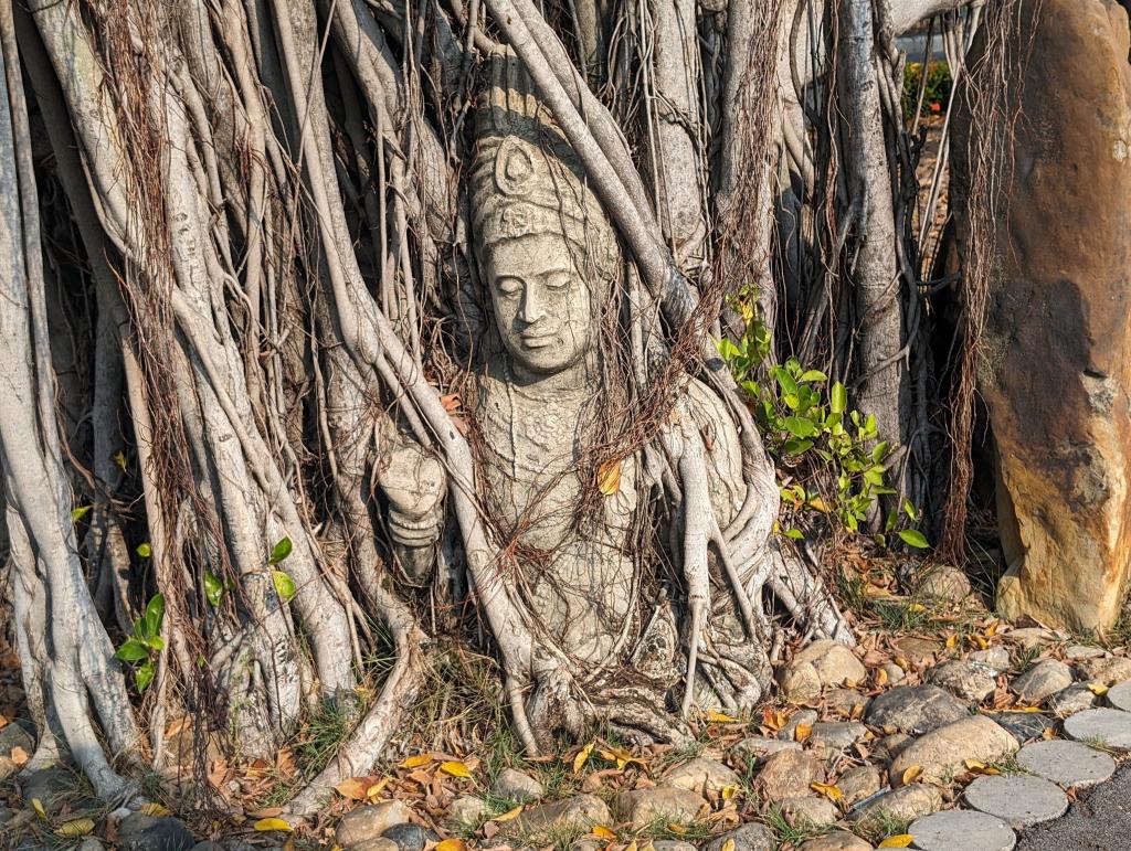 1145 - 20240130 Bangkok Ancient City Google
