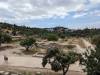 1282 - 20240501 Ancient Roman Agora Google
