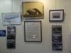 103 - Sunnyvale Heritage Park Museum