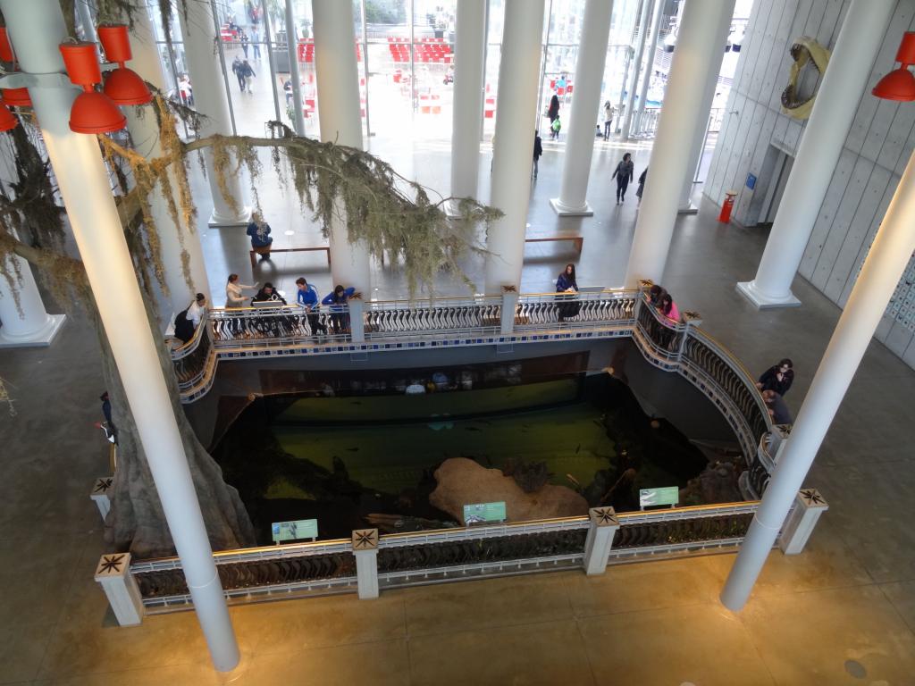 127 - 20140415 CalAcademy SF