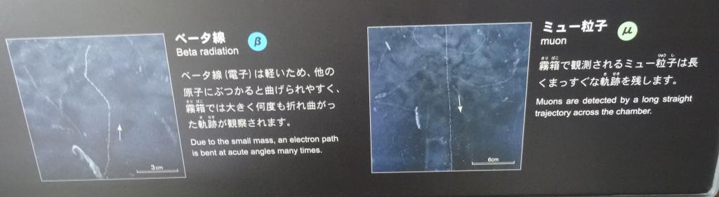 253 - 20140521 Day20 Odaiba