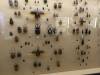 106 - 20150731 Houston Natural History