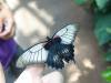 147 - 20150731 Houston Natural History
