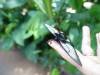 149 - 20150731 Houston Natural History