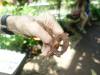 153 - 20150731 Houston Natural History
