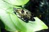 157 - 20150731 Houston Natural History