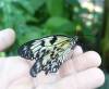 161 - 20150731 Houston Natural History