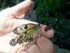 170 - 20150731 Houston Natural History