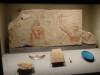 203 - 20150731 Houston Natural History
