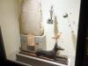 212 - 20150731 Houston Natural History