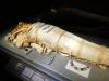 213 - 20150731 Houston Natural History