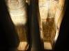 216 - 20150731 Houston Natural History
