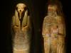 220 - 20150731 Houston Natural History