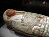 232 - 20150731 Houston Natural History