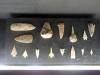 243 - 20150731 Houston Natural History