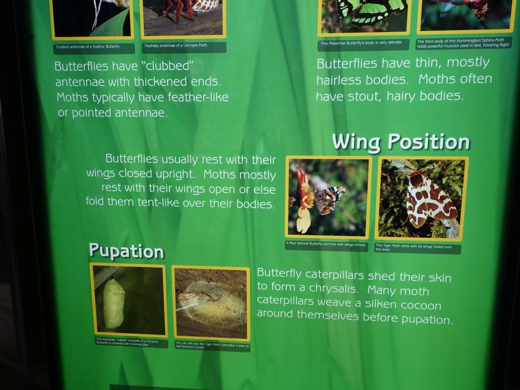 111 - 20150731 Houston Natural History