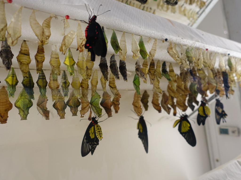 121 - 20150731 Houston Natural History