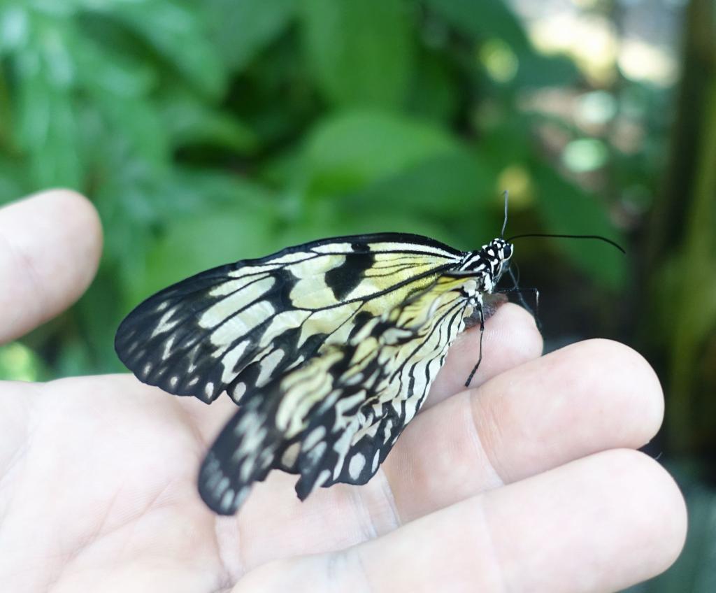 161 - 20150731 Houston Natural History