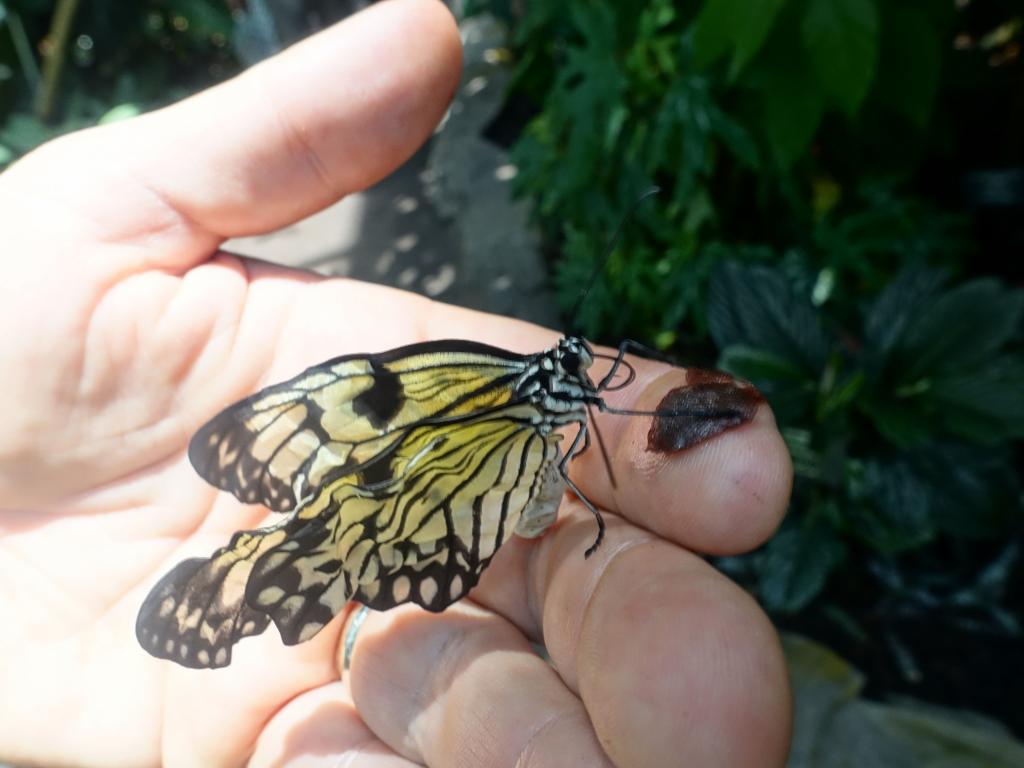 170 - 20150731 Houston Natural History
