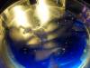 181 - 20160421 Day04 Science Museum Bird Park Night Zoo