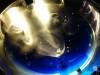 184 - 20160421 Day04 Science Museum Bird Park Night Zoo
