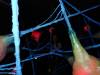 212 - 20160421 Day04 Science Museum Bird Park Night Zoo