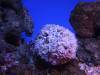 224 - 20160421 Day04 Science Museum Bird Park Night Zoo