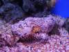 225 - 20160421 Day04 Science Museum Bird Park Night Zoo