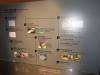 135 - 20160515 Jeju Nexon Computer Museum