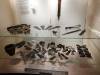 103 - 20170807 National Museum of Scotland