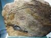 104 - 20170807 National Museum of Scotland