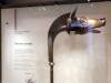 108 - 20170807 National Museum of Scotland